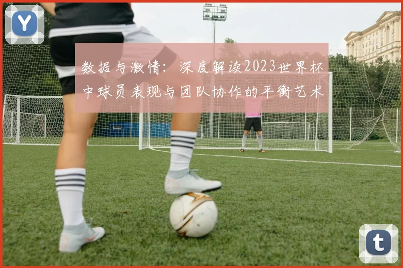 数据与激情:深度解读2023世界杯中球员表现与团队协作的平衡艺术