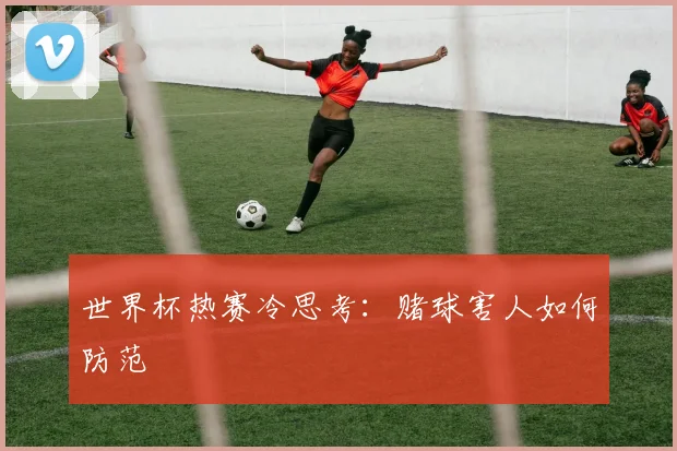 世界杯热赛冷思考：赌球害人如何防范