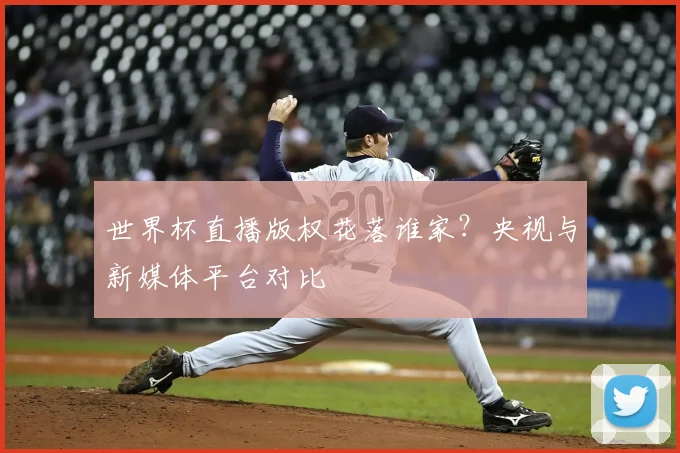 世界杯直播版权花落谁家？央视与新媒体平台对比