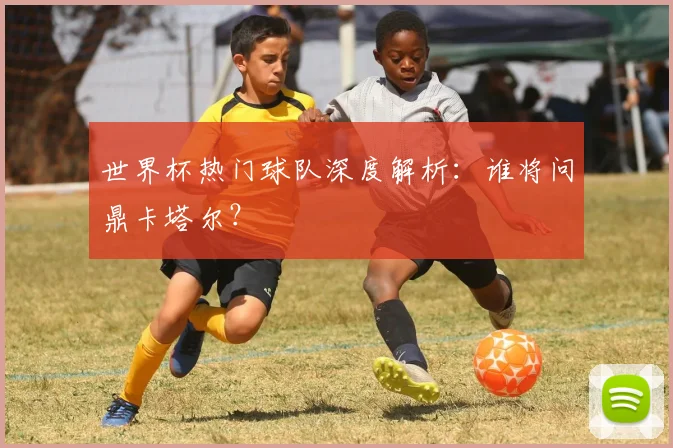 世界杯热门球队深度解析：谁将问鼎卡塔尔？