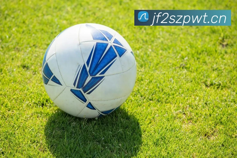 mk体育手机版官网APP 封面图